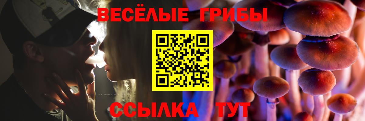 Галлюциногенные грибы MAGIC MUSHROOMS Верхняя Салда